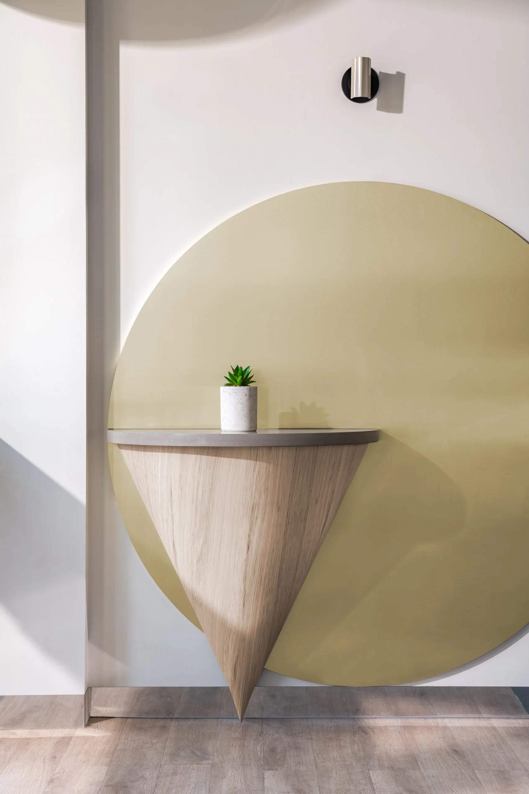 Interior Design - A geometric wall featuring a circular design and a wooden console table with a small plant. Dexign Matter Studio